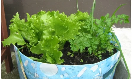 25 Easy DIY Projects for a Thriving Garden